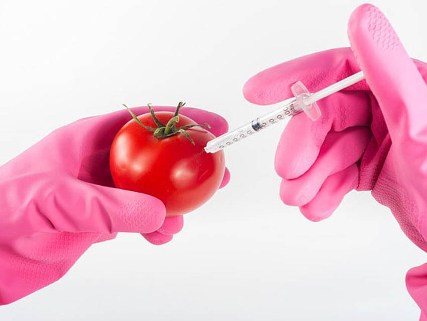 O GMO koniecznie musisz wiedzieć to!