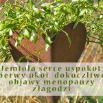 arytmia serca