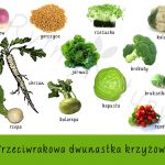 najzdrowsze warzywa