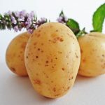ziemniak