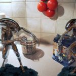 8 pasazer nostromo