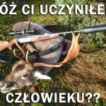 polowanie