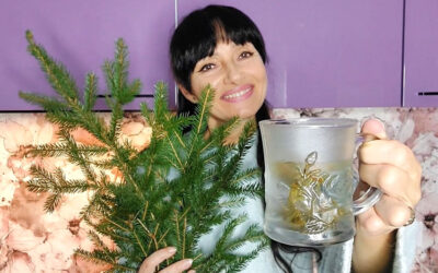 Odkryj leczniczą moc igieł świerku: napary, odwary i kąpiele dla zdrowia